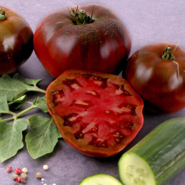 Črni solatni paradižnik ‘Schwarze Krim’
