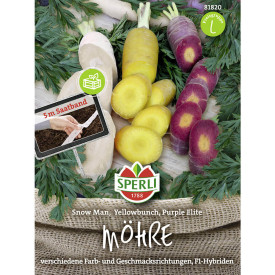 Barvna kombinacija traku s korenčkovimi semeni