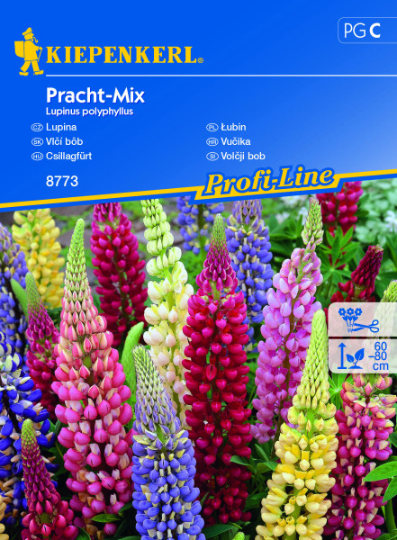 Volčja jagoda, mešanica barv, semena