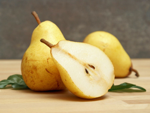 Vilmos hruška z zemeljsko grudo