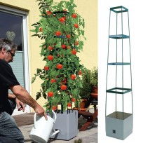 Rastlinski stolp MaxiTom antracit